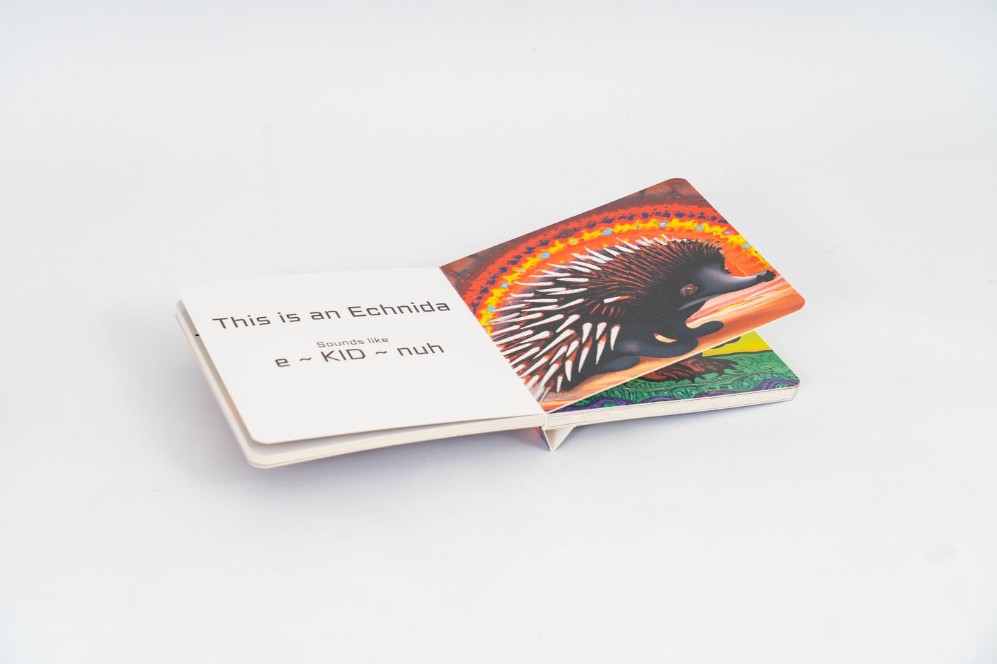 My First Picture book