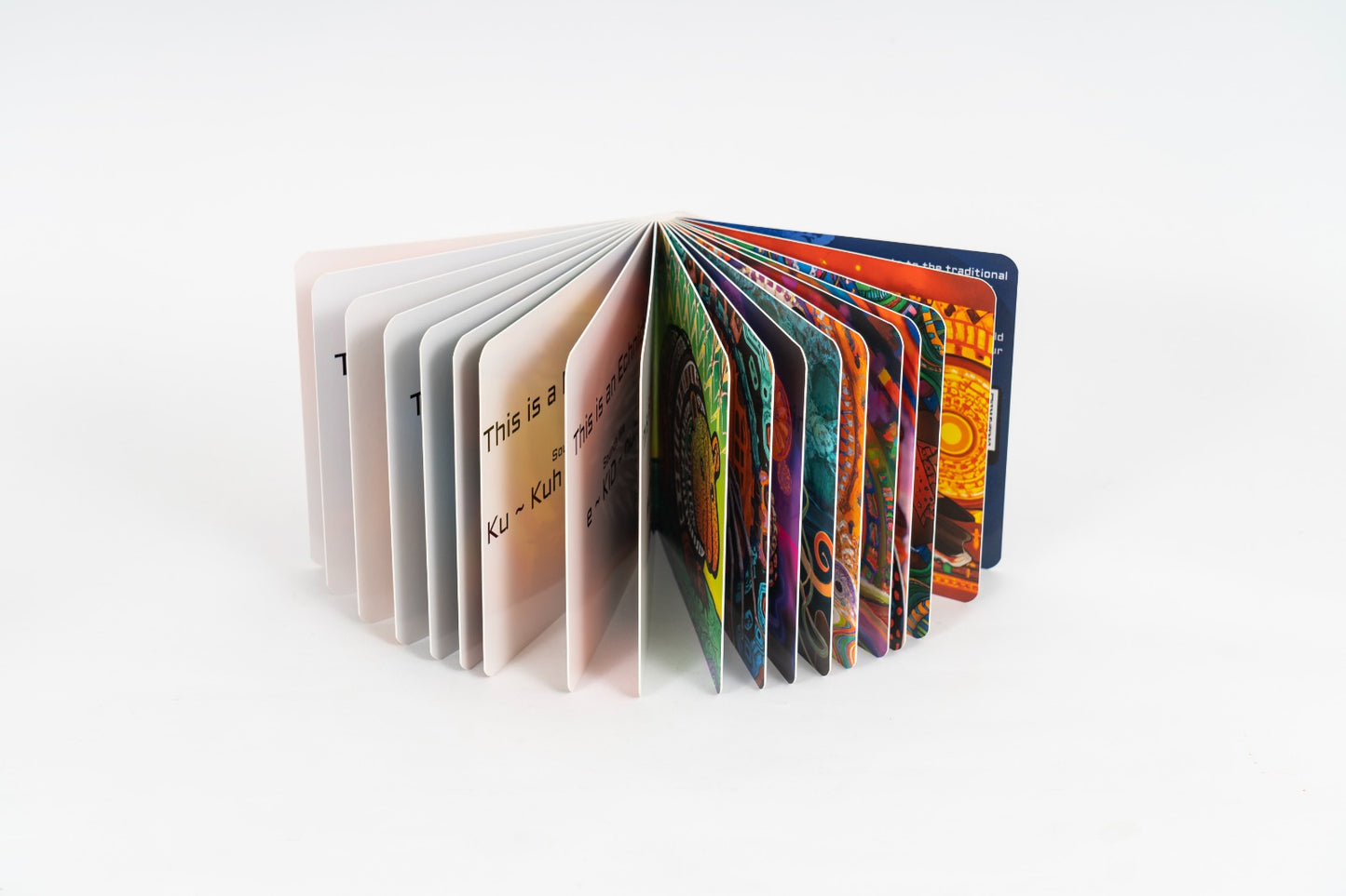 My First Picture book