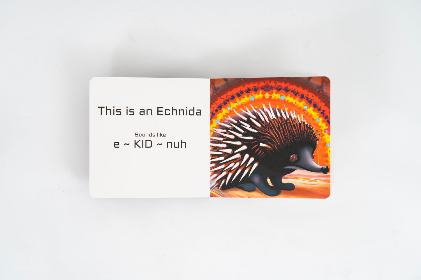 My First Picture book